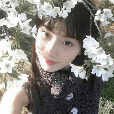 家族片羽