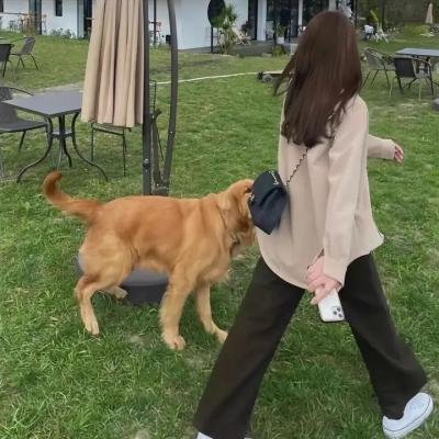 烈焰风暴